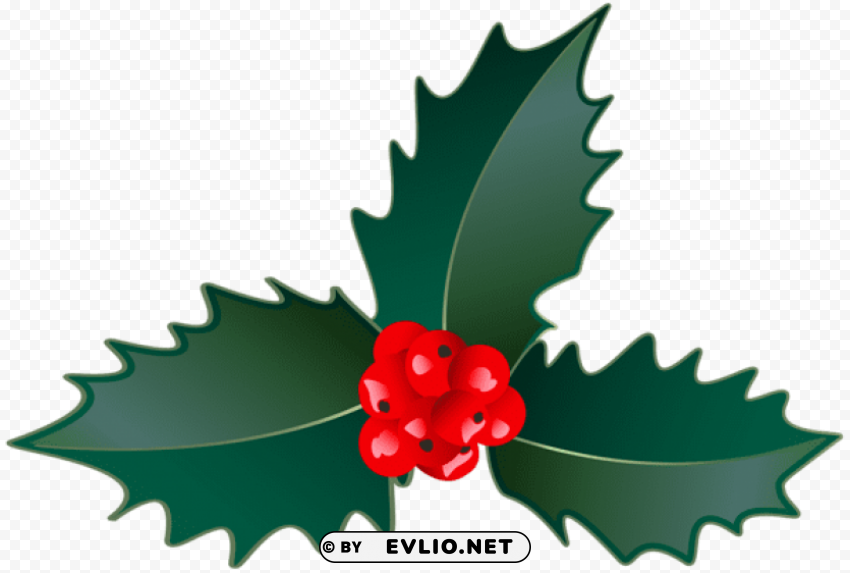 christmas holly Transparent PNG images for digital art
