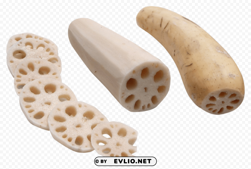 lotus root Free PNG images with transparent background