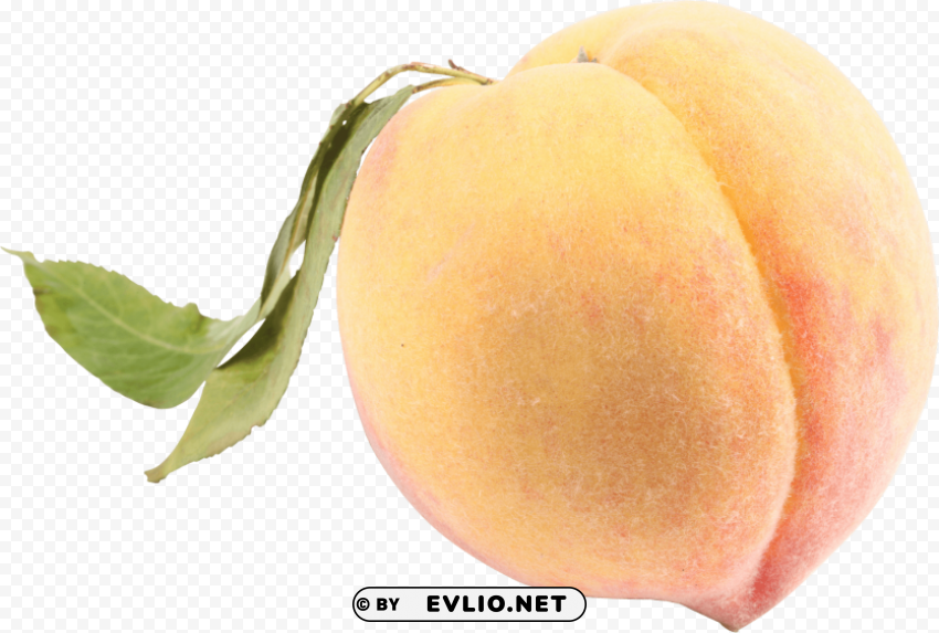 peach Isolated Subject in Clear Transparent PNG