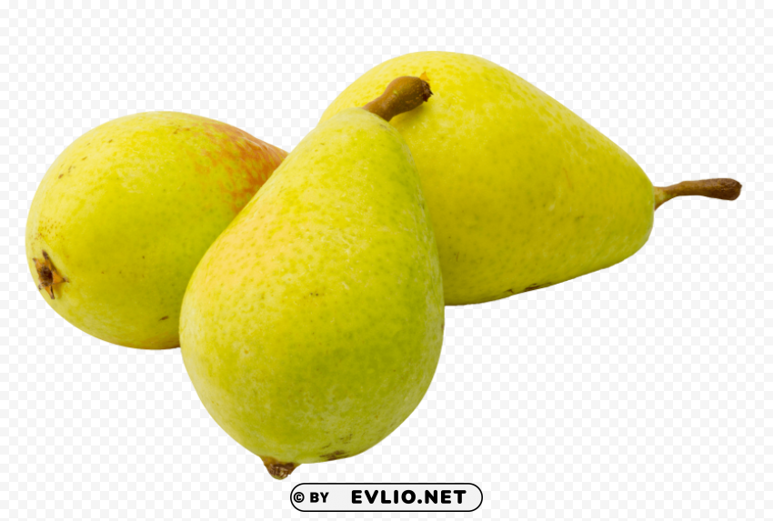 Pear Fruit Free download PNG with alpha channel extensive images