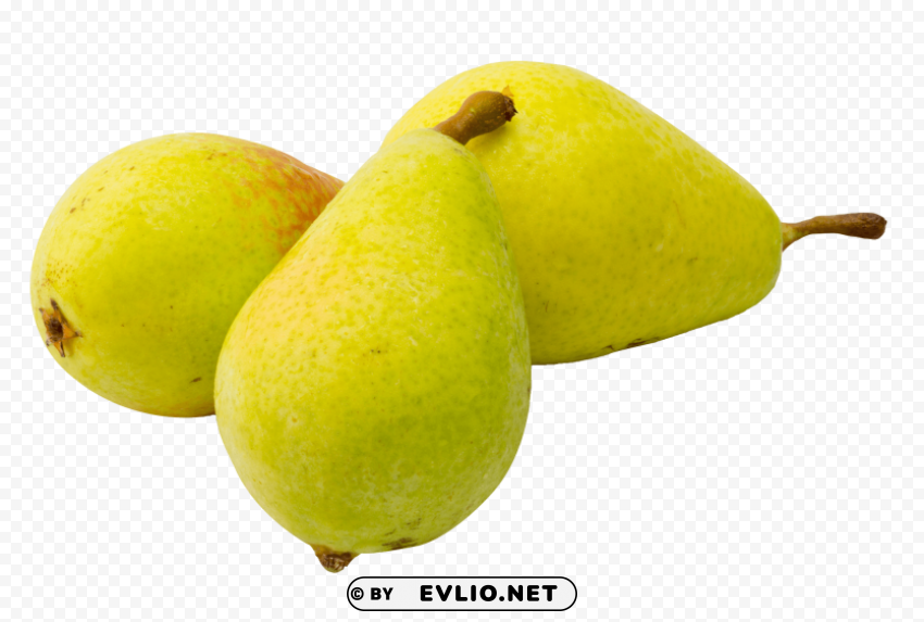 pear fruits HighResolution Transparent PNG Isolated Item