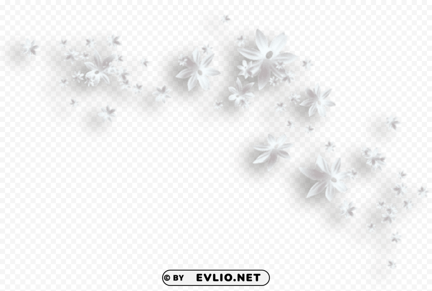 white flowers decorative PNG transparent elements complete package