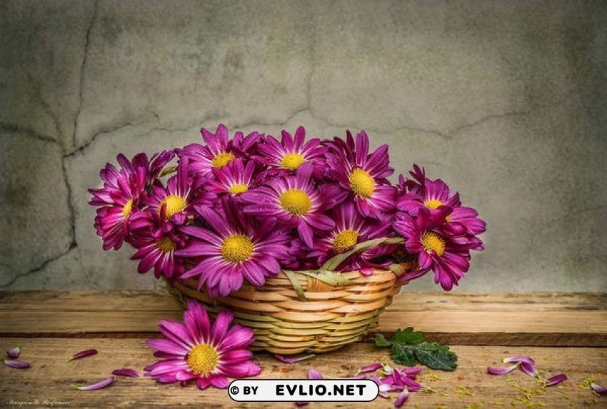 with beautiful magenta flowers in basket Clear Background PNG Isolated Item