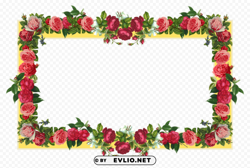 flowers borders Clear PNG pictures package