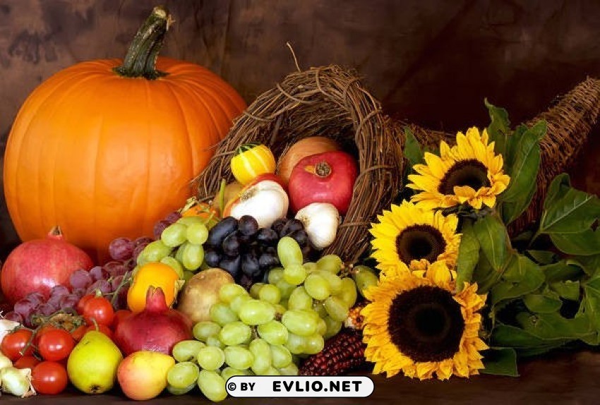 autumnwith pumpkin and cornucopia PNG files with alpha channel