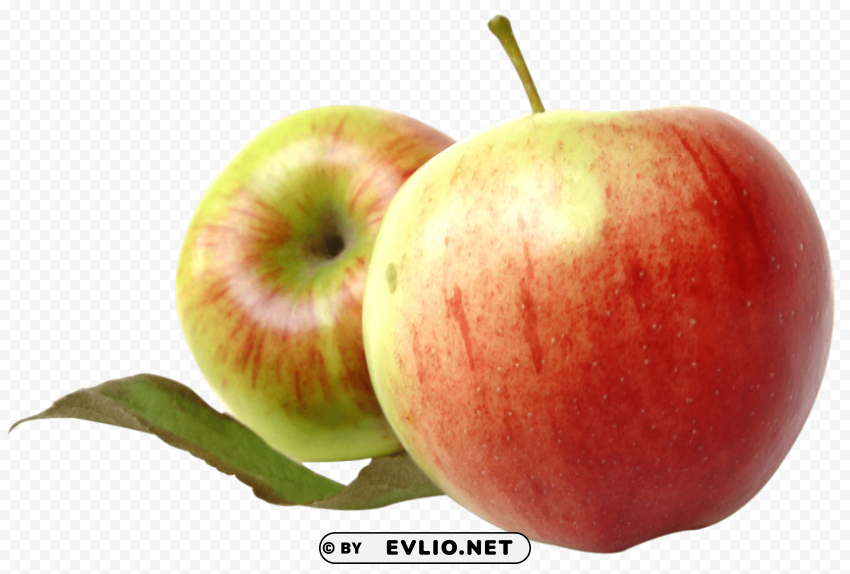 fresh apple Free PNG images with alpha channel