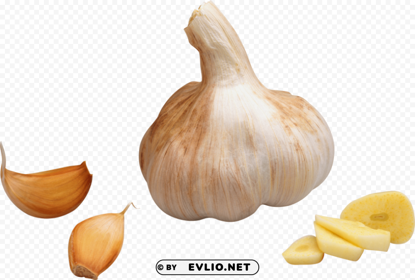 Garlic Clear PNG Pictures Compilation