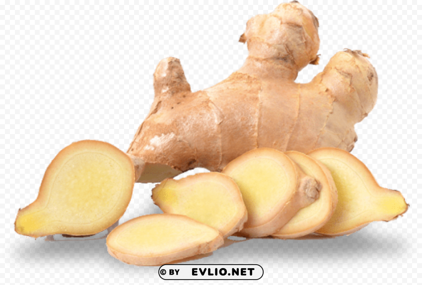 ginger file PNG Image with Clear Background Isolated
