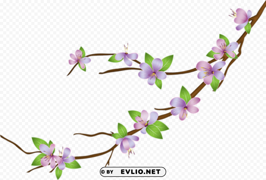 blooming branch PNG images with alpha transparency wide collection
