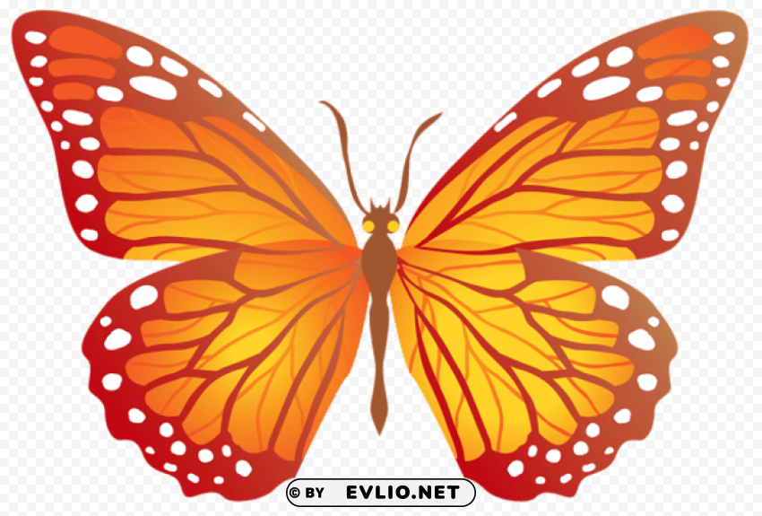 butterfly with yellow PNG Image Isolated with High Clarity clipart png photo - d6e1a1ea