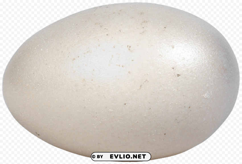 eggs Clean Background Isolated PNG Art