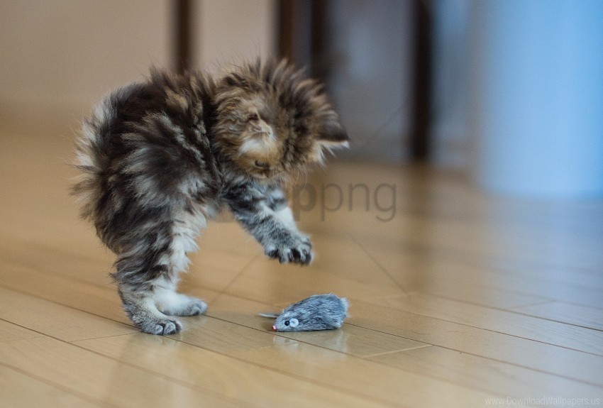 fluffy kitty mouse toy wallpaper High-resolution transparent PNG images assortment