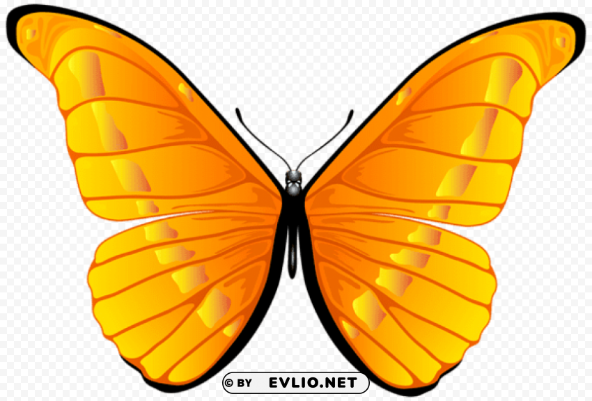 Orange Butterfly PNG Image With Clear Background Isolated