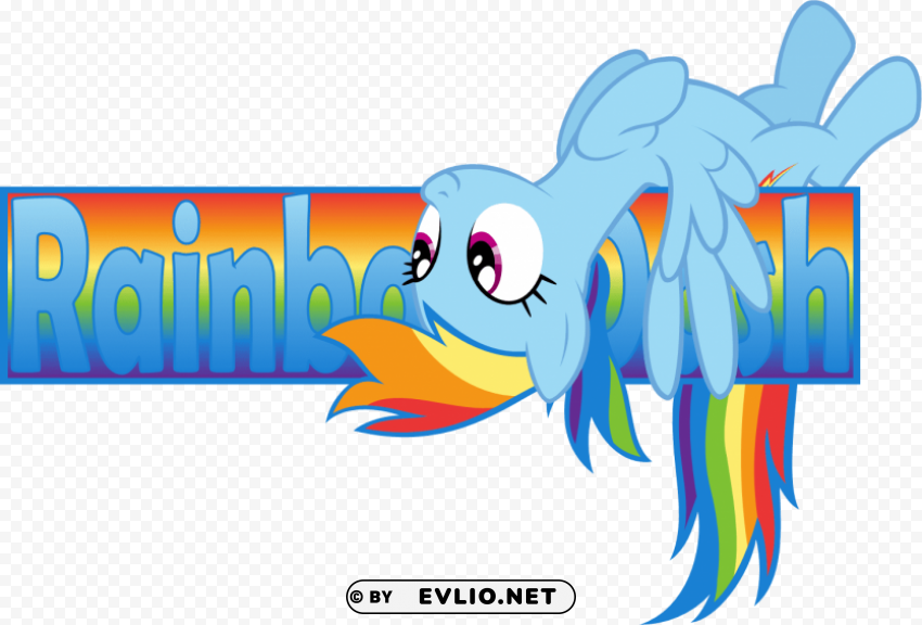 Rainbow Dash Banner PNG With Clear Background Extensive Compilation