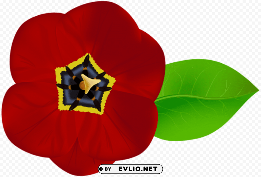 PNG image of red flower PNG Isolated Object on Clear Background with a clear background - Image ID 95516888