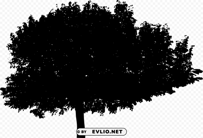 tree silhouette Isolated Subject in HighResolution PNG