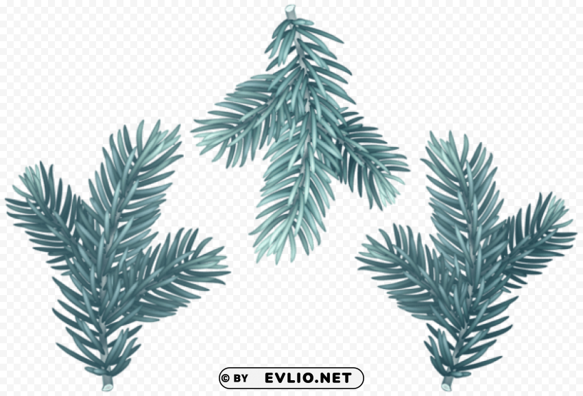 pine branches blue set Isolated Element in HighQuality PNG