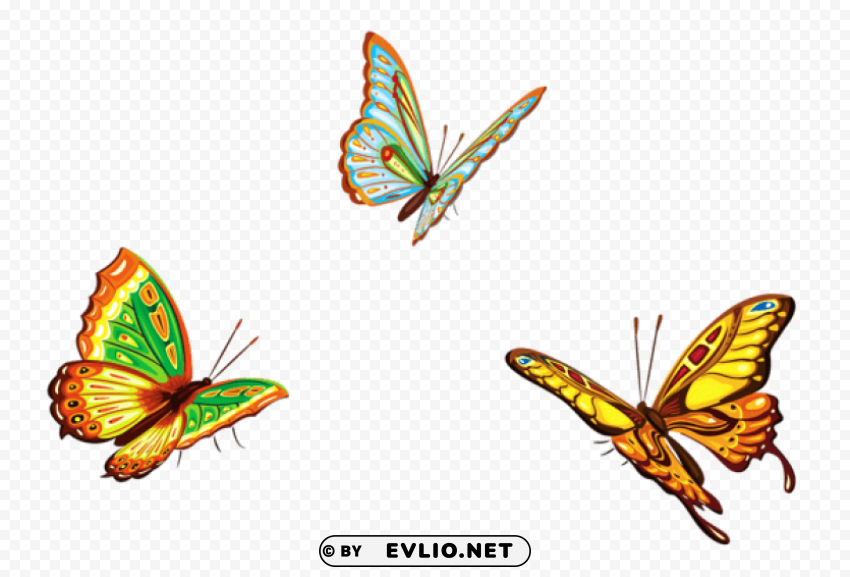 three butterfliespicture Transparent PNG image free