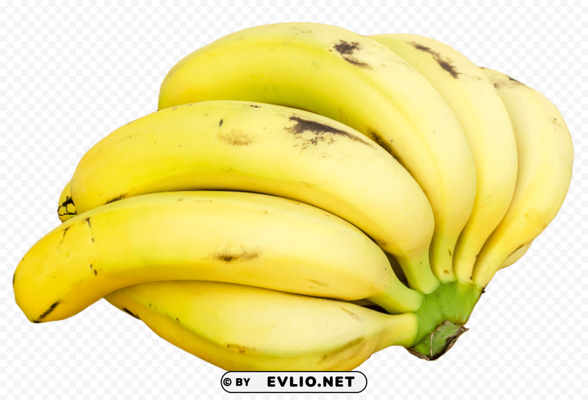 Banana Bunch Transparent PNG Pictures Complete Compilation