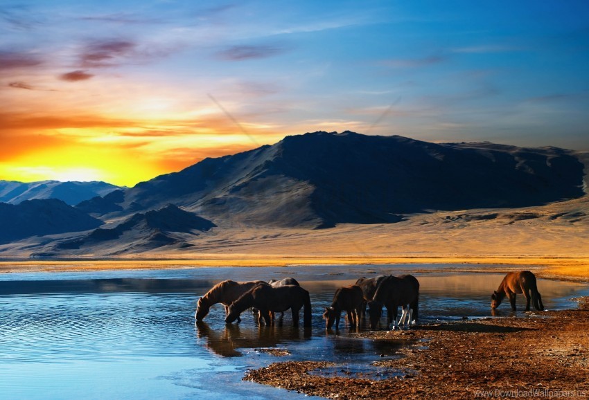 herd horse lake mountains sunset watering hole wallpaper Transparent background PNG images selection
