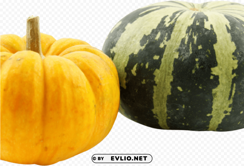 pumpkins transparent Isolated Graphic with Clear Background PNG
