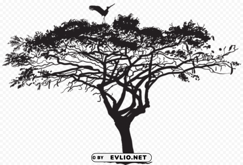 exotic tree and bird silhouette PNG for personal use