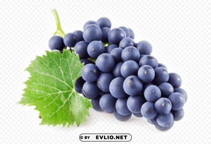 grape PNG free download png - Free PNG Images ID 4fd94029