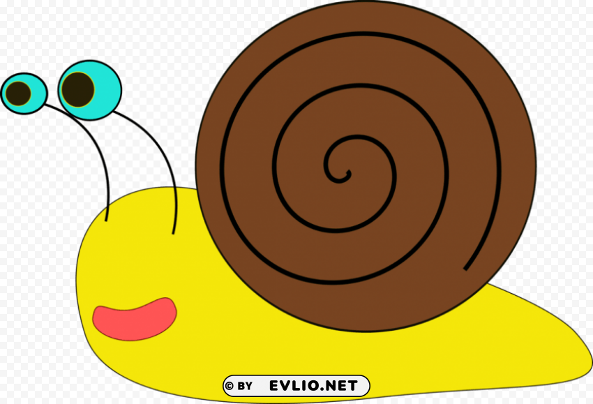 snail Isolated Item on Transparent PNG Format