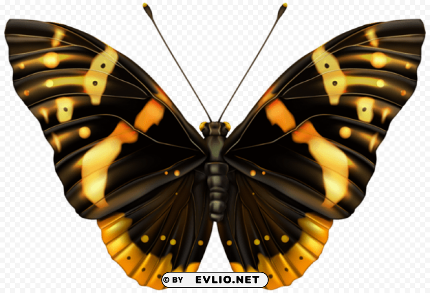 Black And Orange Butterfly HighQuality Transparent PNG Isolated Graphic Element