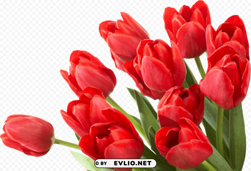 bouquet of flowers PNG Graphic Isolated on Clear Backdrop