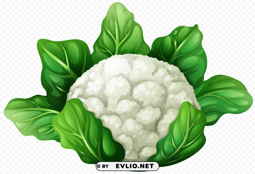 cauliflower ClearCut Background PNG Isolated Subject
