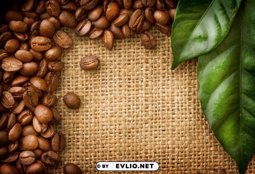 coffee PNG Image Isolated with Transparency