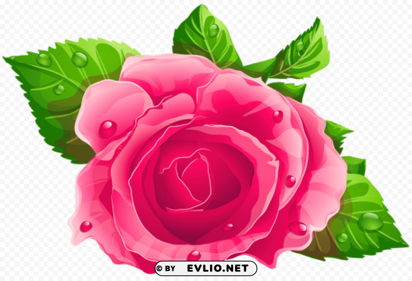 pink rose HighResolution Transparent PNG Isolated Graphic