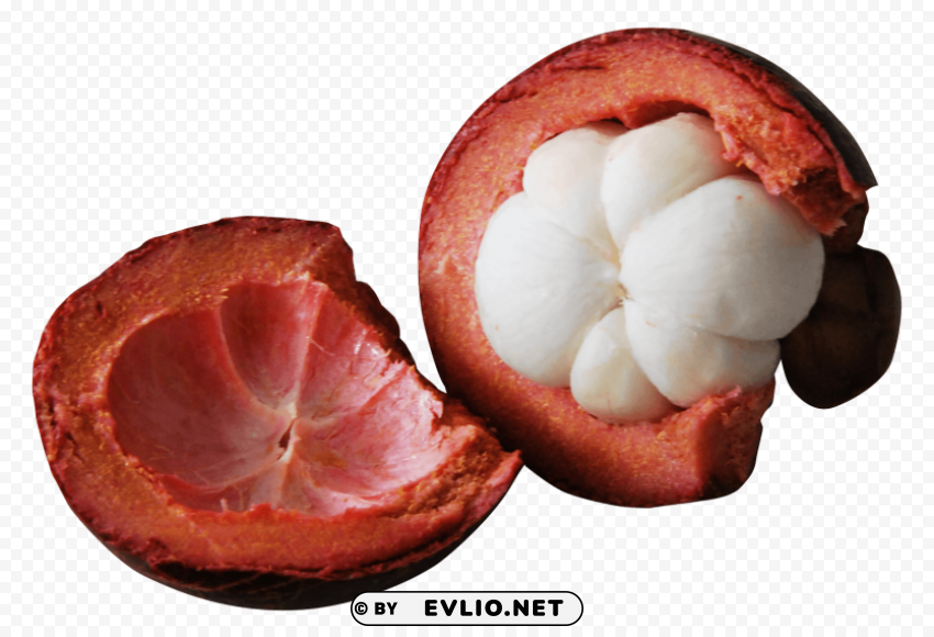 Purple Mangosteen Isolated PNG Object with Clear Background