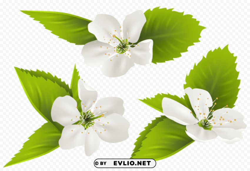 spring tree flowers PNG images with no background assortment