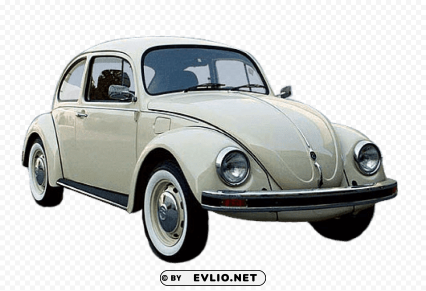 beetle cream color Isolated Subject on HighQuality PNG