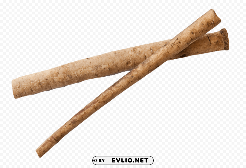 burdock root Isolated Subject on HighQuality Transparent PNG