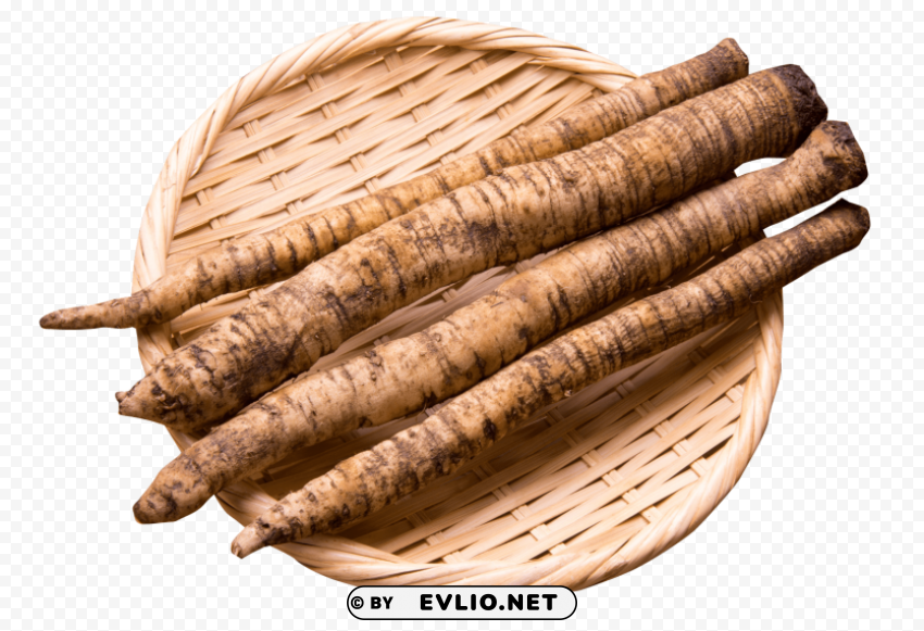 Burdock Root In Bowl PNG Free Transparent