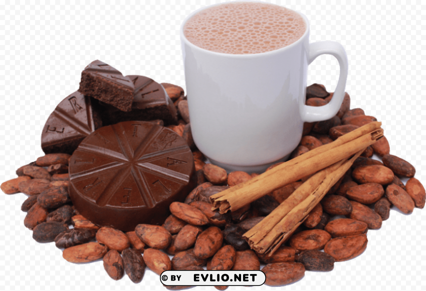 cacao Transparent PNG Isolated Graphic with Clarity