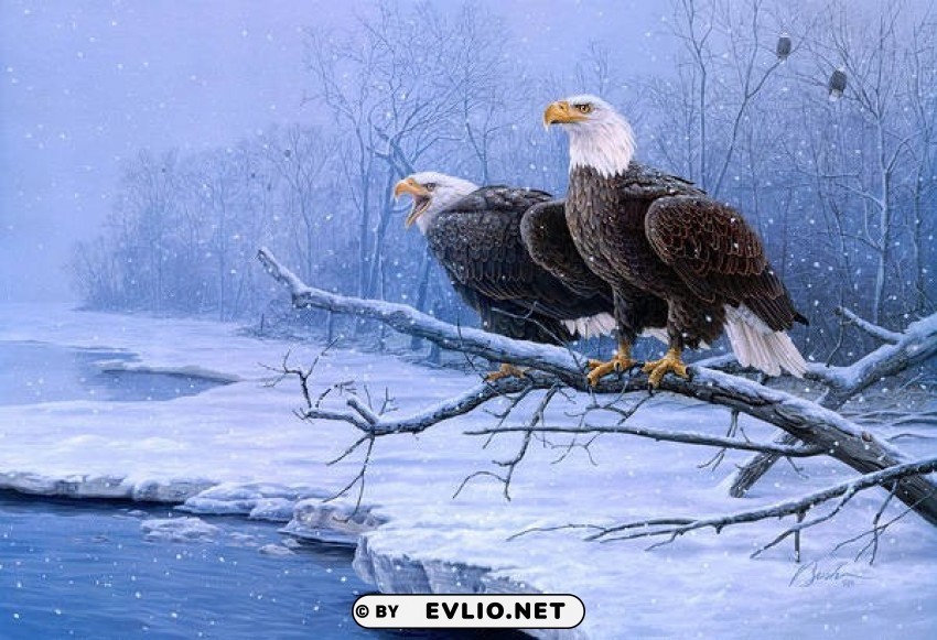 eagles in winter painting PNG graphics with transparent backdrop
