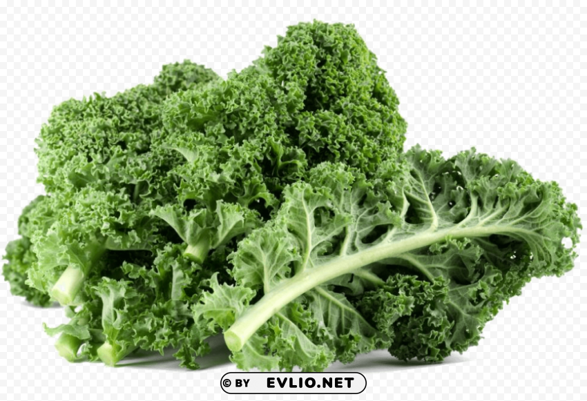 kale Transparent art PNG PNG images with transparent backgrounds - Image ID 78065f30