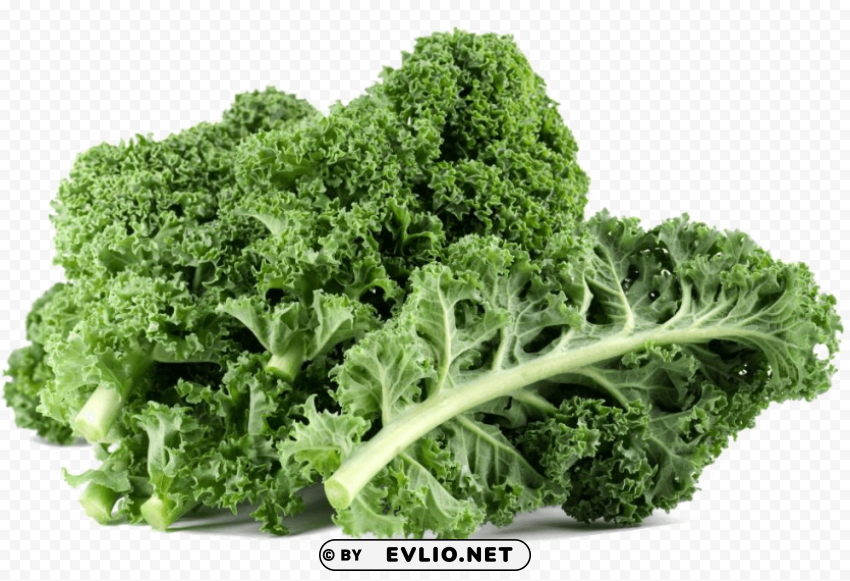 kale Transparent art PNG