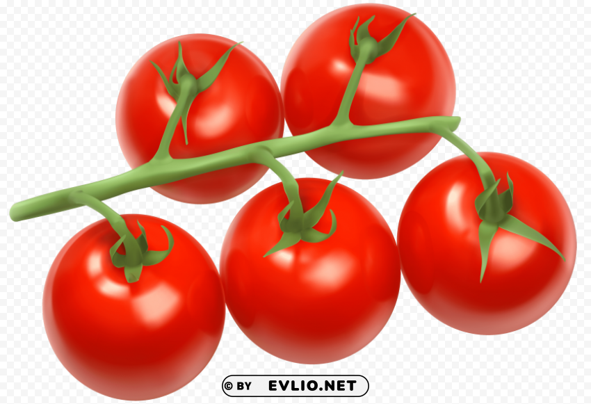 tomatoes branch PNG design clipart png photo - ad20b57e