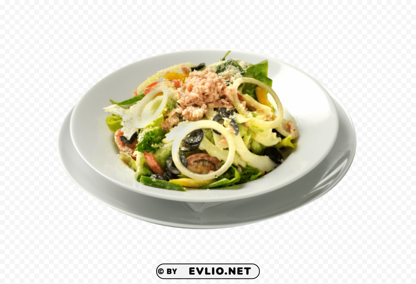 tuna salad PNG transparent graphics for projects