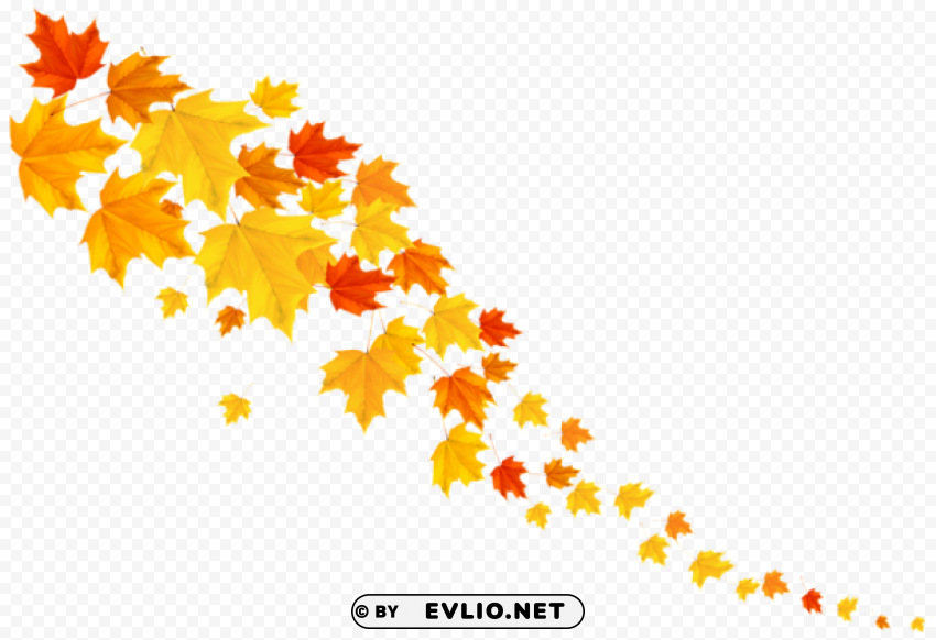 autumn leafs decorative Transparent Background PNG Isolated Art