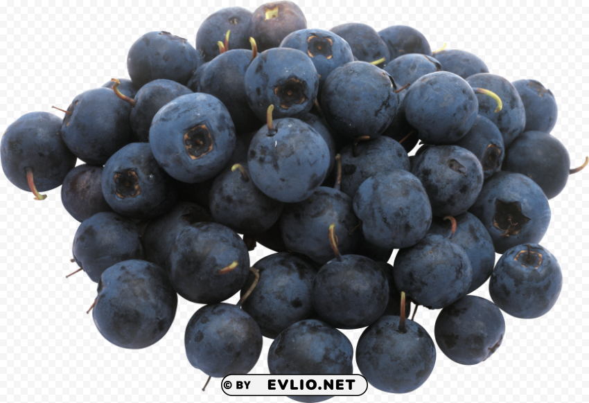 blueberries PNG graphics with transparency