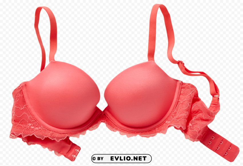 bra Isolated Element in Transparent PNG