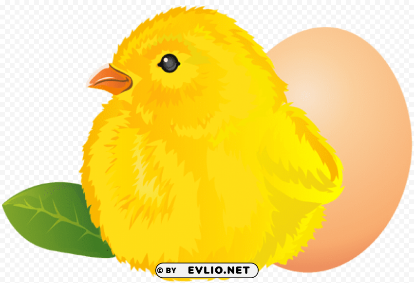 easter chicken PNG images for advertising