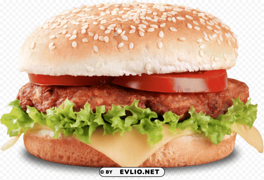 fast food burger Transparent PNG images pack PNG images with transparent backgrounds - Image ID 37d04097