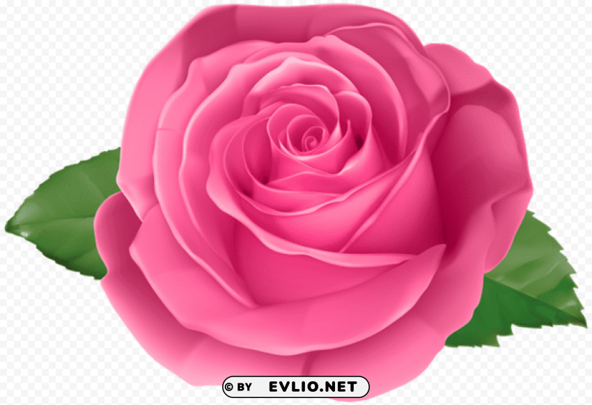 PNG image of rose pink transparent Isolated Design Element in PNG Format with a clear background - Image ID ac9f5ca7